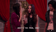 Whats The Prob Dog Jade West GIF - Whats The Prob Dog Whats The Prob Jade West GIFs