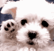 Byee Cute GIF - Byee Cute Doggie GIFs