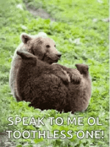 Bear Speak To Me GIF - Bear Speak To Me Fart GIFs