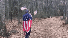 M Canning American Flag GIF - M Canning American Flag Flag Waving GIFs