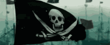 caribbean pirate