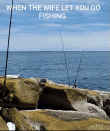 Fishing When The Wife Let You Go Fishing GIF - Fishing When The Wife Let You Go Fishing Happy Dance GIFs