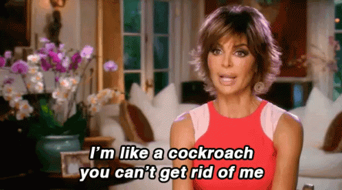 When Your Bf Tries To Break Up With You GIF Realhousewives Cockroach