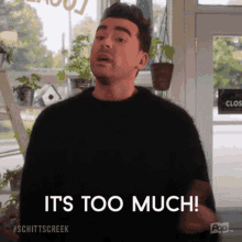 Too Much GIF - Too Much To GIFs