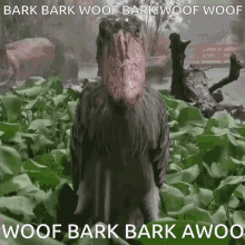 Coco Woof GIF - Coco Woof Bark GIFs
