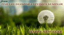 Italian Diaspora Studies Seminar Flower GIF - Italian Diaspora Studies Seminar Flower GIFs
