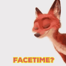 Facetime Fox GIF - Facetime Fox GIFs