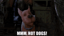 Scooby Doo Mmm Hot Dogs GIF - Scooby Doo Mmm Hot Dogs Hot Dogs GIFs