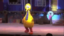 Big Bird Sesame Street GIF - Big Bird Sesame Street Stage GIFs