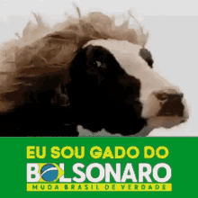 Gado Bolsonaro GIF - Gado Bolsonaro Cow GIFs