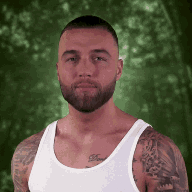 Dschungelcamp Ibes GIF Dschungelcamp Ibes Ich Bin Ein Star Holt Mich Hier Raus Discover