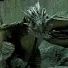 dragon flame dragon flame