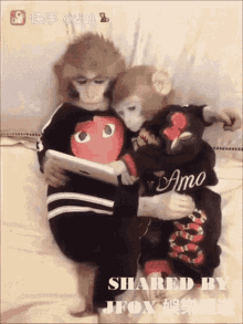 Monkeys Hug GIF - Monkeys Hug Cuddle GIFs
