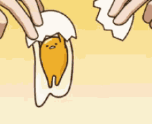gudetama egg lazy rice bowl anime gudetama egg lazy rice bowl anime