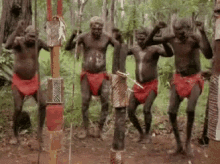 African Natives GIF - African Natives Tribal GIFs