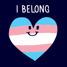 trans pride trans day of visibility trans trans flag feminist