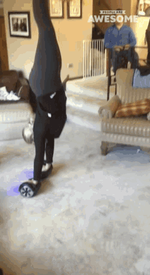 handstand on hoverboard people are awesome tricks stunt handstand