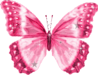 Pink Butterfly Sticker - Pink Butterfly Stickers