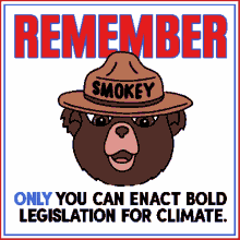 remember only you can enact bold legislation for climate enact bold legislation for climate smokey the bear bear environment