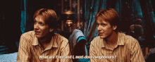 Fred And George Harry Potter GIF - Fred And George Harry Potter Next Door Neighbors GIFs