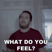What Do You Feel Adam Friberg GIF - What Do You Feel Adam Friberg Friberg GIFs