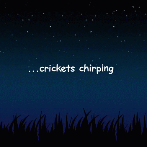 Crickets Chirping Meme GIFs | Tenor