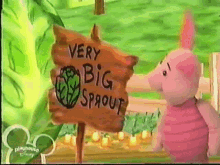 The Book Of Pooh Piglet GIF - The Book Of Pooh Piglet Very Big Sprout GIFs