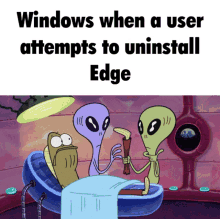 edge windows