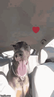 Heart Dog GIF - Heart Dog Doberman GIFs