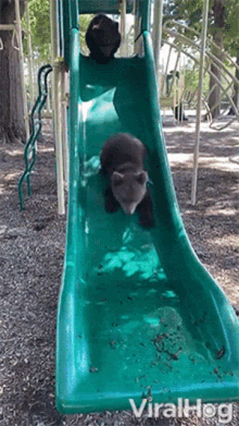 sliding down viralhog having fun on the slide sliding is fun