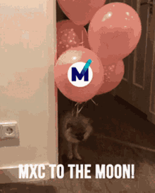 mxc moon crypto blockchain iot