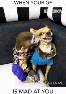Monkey When Your Girlfriend Is Mad At You GIF - Monkey When Your Girlfriend Is Mad At You Kisses GIFs