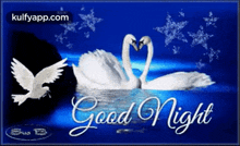 Good Night - Swans.Gif GIF - Good Night - Swans Good Night Wishes Good Night Greetings GIFs