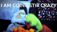Oranges Puppets GIF - Oranges Puppets Chip GIFs
