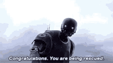congratulations rogue