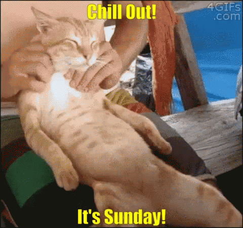 chill-out-its-sunday-kitten.gif