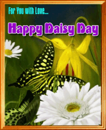 Happy Daisy Day June8th GIF - Happy Daisy Day June8th Upsy Daisy Day GIFs