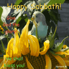 Happy Sabbath God GIF - Happy Sabbath God Religion GIFs