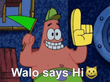 walo says hi walo says hi walo says