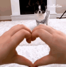 Heart The Pet Collective GIF - Heart The Pet Collective Walking GIFs