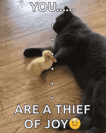 Cat Duckling GIF - Cat Duckling Kicked GIFs