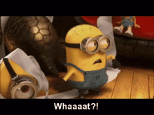 movies animation despicable me minions whaaaat movies animation despicable me minions whaaaat