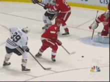 hockey redwings