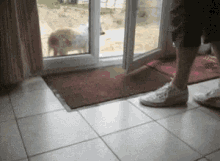 Cleanyourpaws GIF - Cleanyourpaws Paws GIFs
