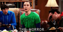 The Horror GIF - The Big Bang Theory Jim Parsons Sheldon Cooper GIFs