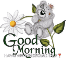 Good Morning Bear GIF - Good Morning Bear Flower GIFs