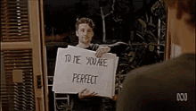 Perfect You Are Perfect GIF - Perfect You Are Perfect Obviously You Are Not Perfect GIFs