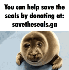 Save The GIF - Save The Seals GIFs
