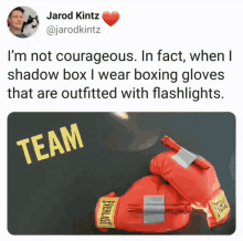 Boxing Gloves GIF - Boxing Gloves Humor GIFs