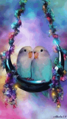 Lovebirds GIF - Lovebirds GIFs